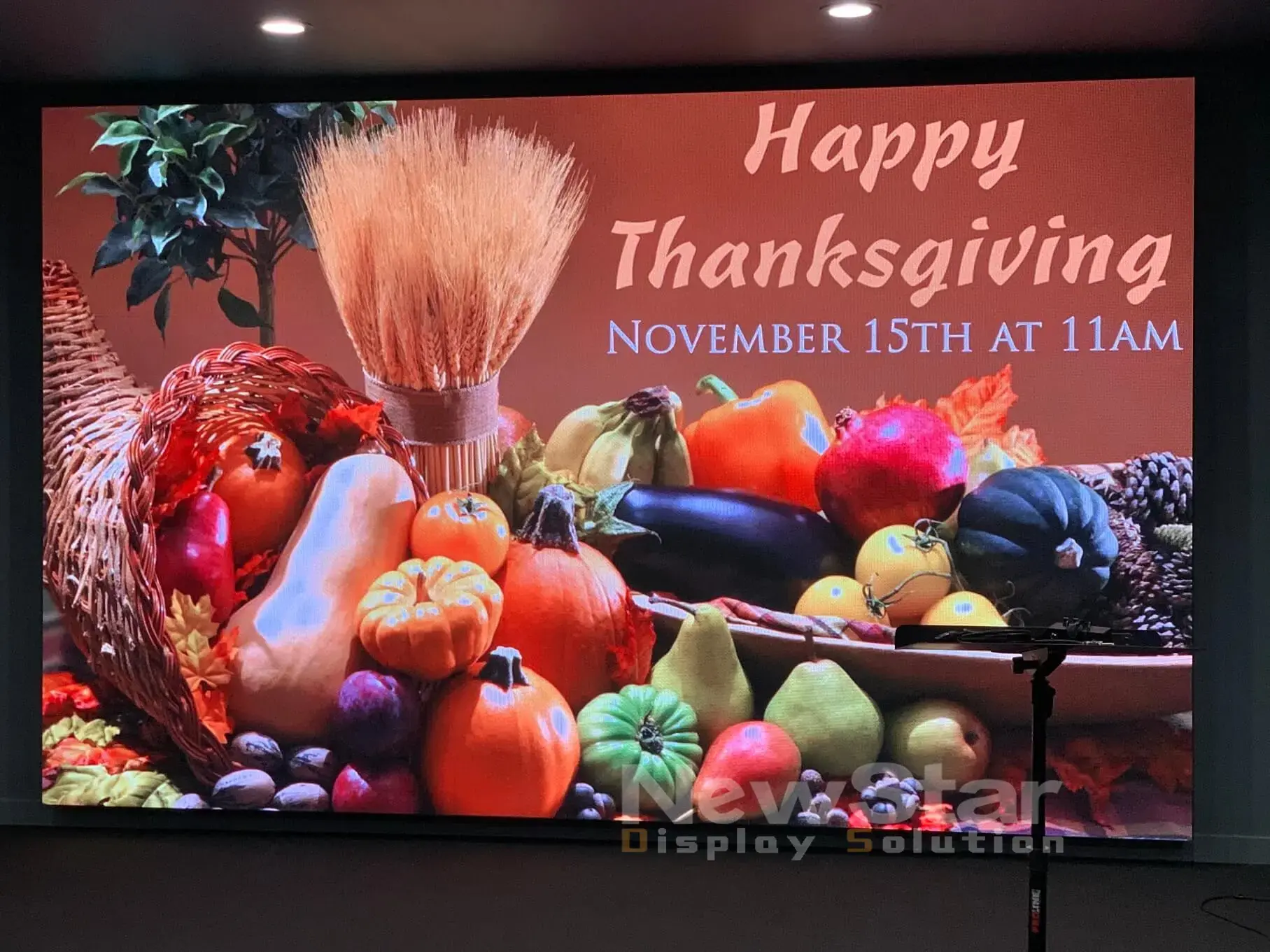 Rental LED Display P2.9